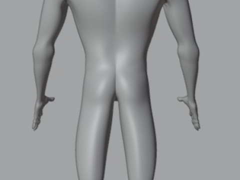 Human 3Dモデル