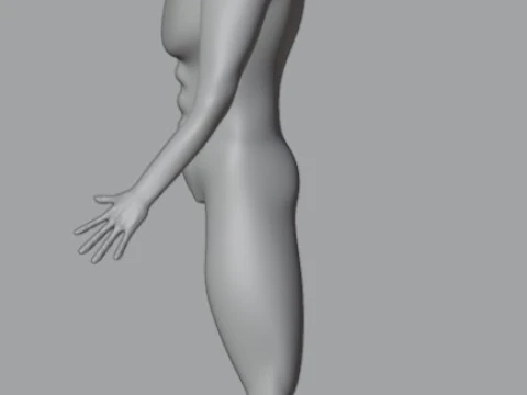 Human 3D Model