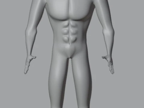 Human 3D Model