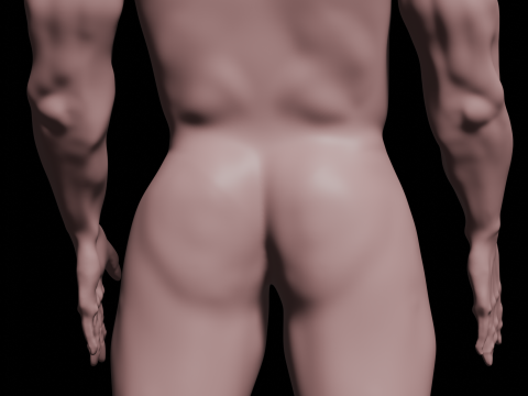 Human 3Dモデル