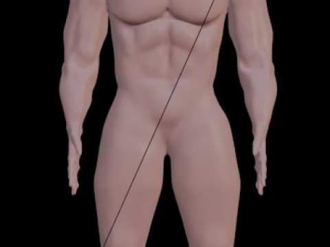 Human 3Dモデル