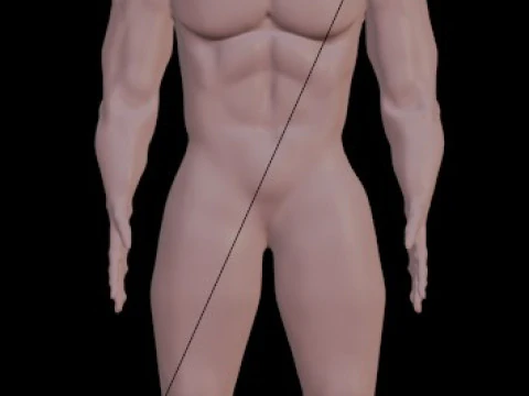 Human 3D Model