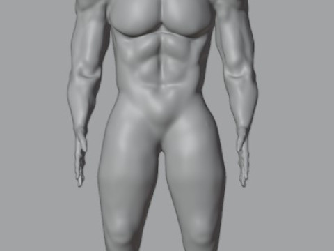 Human 3Dモデル