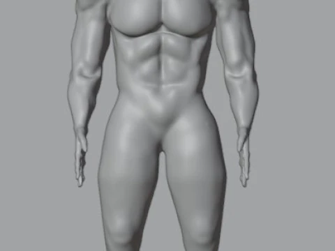 Human 3D Model