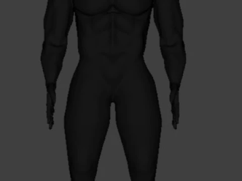 Human 3D Model