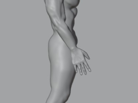 Human 3Dモデル