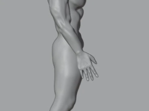 Human 3D Model