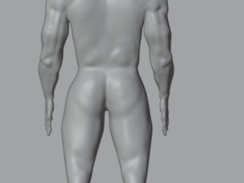 Human 3Dモデル