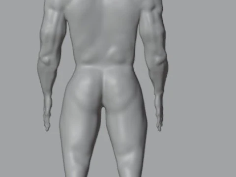 Human 3D Model