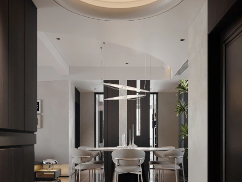 Modern and stylish living room and dining room 3D Model