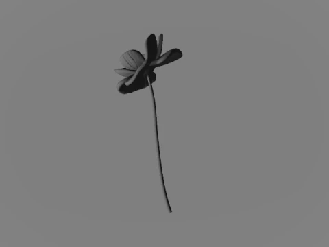 Anemones Before the Rain A Memorial Tribute 3D Print Model