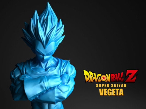 Super Saiyan Vegeta 3D Print Model