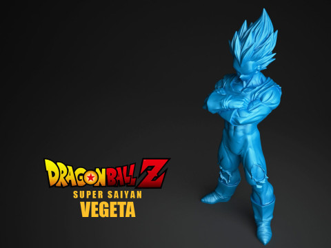 Super Saiyan Vegeta 3D Print Model