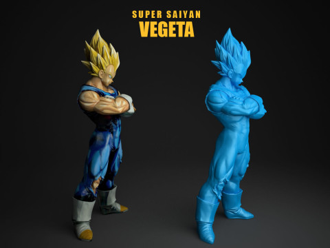 Super Saiyan Vegeta 3D Print Model