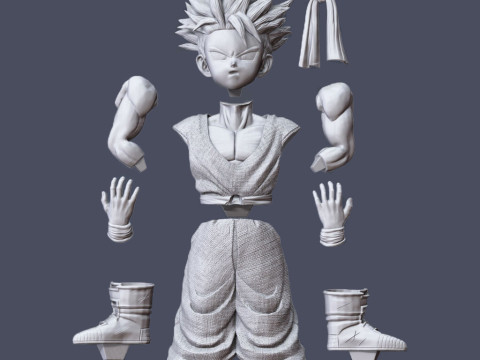 Vegeta e Trunks Modello di stampa 3D