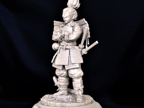 Samouraï Végéta Modèles 3D en vedette