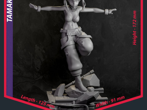 तमाकी कोटात्सु 3D प्रिंट मॉडल