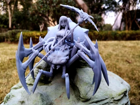 Kumoko Spider 3D Print Model