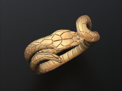 Snake Ring 3D print model 3Dプリントモデル