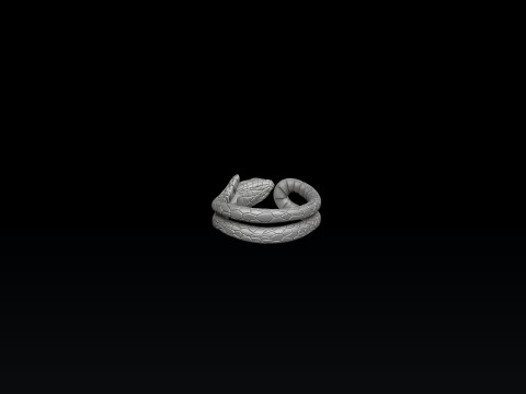 Snake Ring 3D print model 3D Print Model