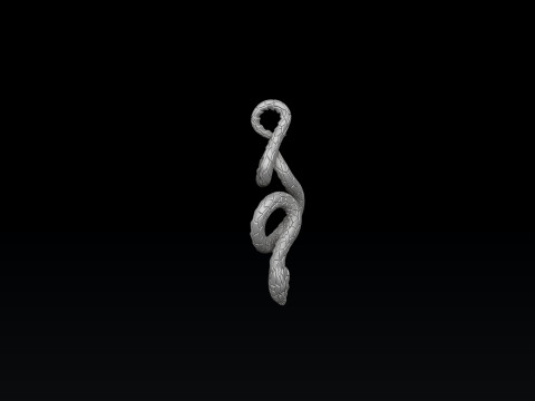 Snake Pendant 3D print model 3Dプリントモデル