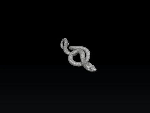 Snake Pendant 3D print model 3D Print Model
