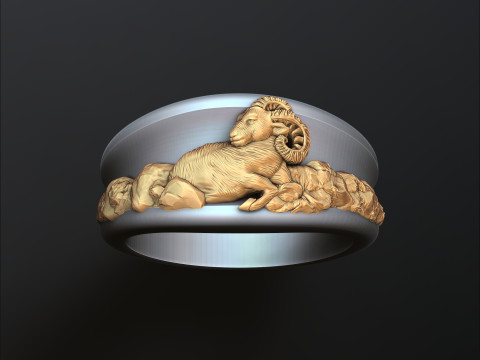 Zodiac Horoscope Aries Ring 3D print model 3Dプリントモデル