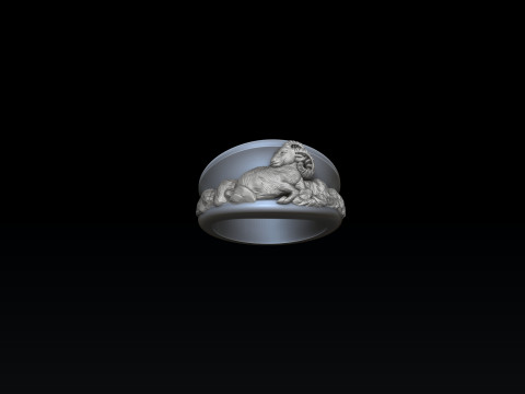 Zodiac Horoscope Aries Ring 3D print model 3Dプリントモデル