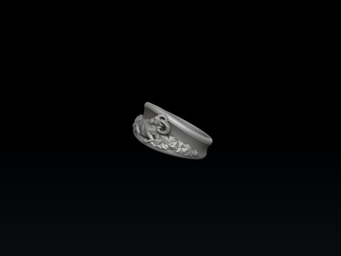 Zodiac Horoscope Aries Ring 3D print model 3Dプリントモデル
