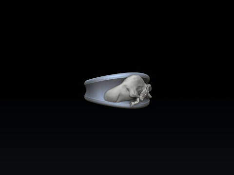 Zodiac Horoscope Taurus Ring 3D print model 3D Print Model
