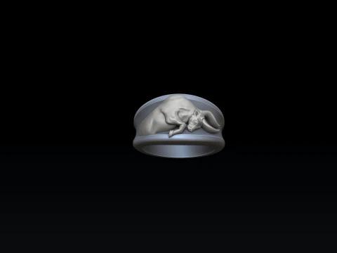Zodiac Horoscope Taurus Ring 3D print model 3D Print Model