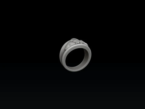 Zodiac Horoscope Taurus Ring 3D print model 3D Print Model