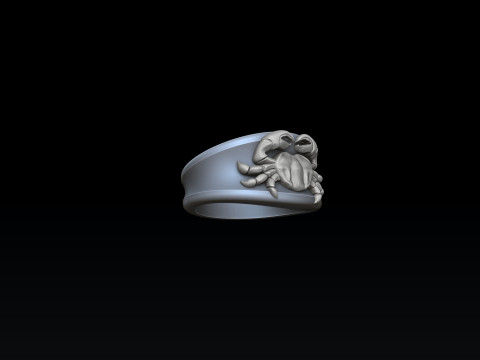 Zodiac Horoscope Cancer Ring 3D print model 3Dプリントモデル