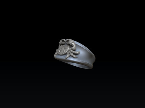 Zodiac Horoscope Cancer Ring 3D print model 3Dプリントモデル