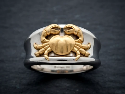 Zodiac Horoscope Cancer Ring 3D print model 3D Print Model