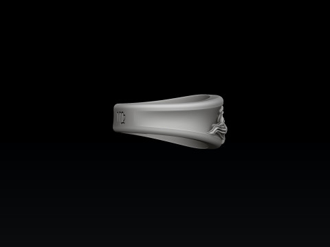 Zodiac Horoscope Virgo Ring 3D print model Modelo de Impressão 3D
