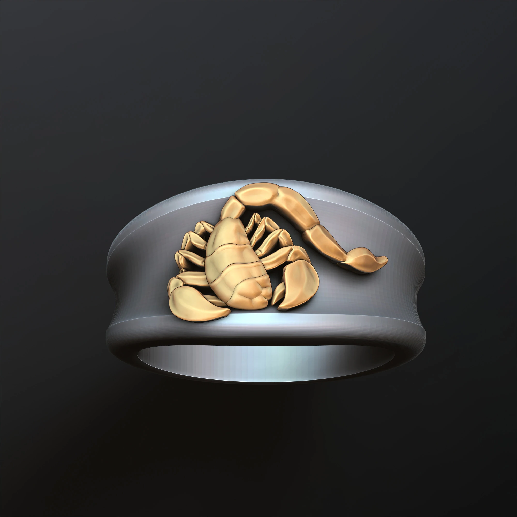 Zodiac Horoscope Scorpio Ring 3D print model 3D Print Model .c4d .max .obj .3ds .fbx .stl .blend