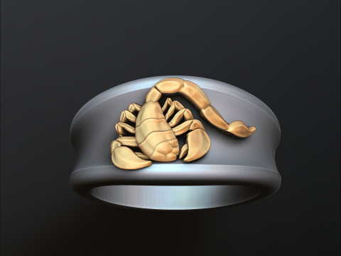 Zodiac Horoscope Scorpio Ring 3D print model 3Dプリントモデル