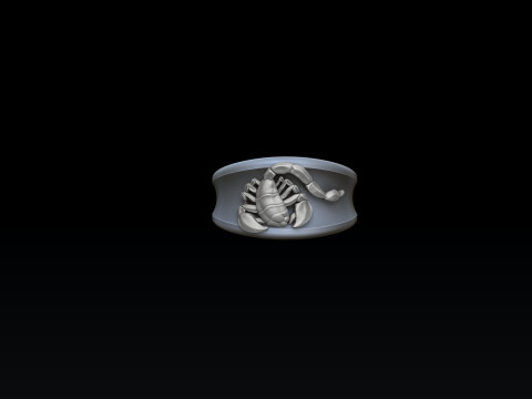 Zodiac Horoscope Scorpio Ring 3D print model 3Dプリントモデル