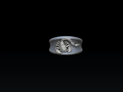 Zodiac Horoscope Scorpio Ring 3D print model 3D Print Model