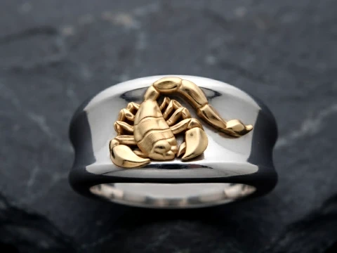 Zodiac Horoscope Scorpio Ring 3D print model 3D Print Model