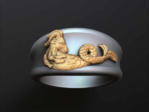 Zodiac Horoscope Capricorn Ring 3D print model 3Dプリントモデル