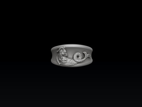 Zodiac Horoscope Capricorn Ring 3D print model 3Dプリントモデル