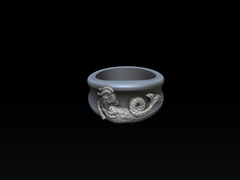 Zodiac Horoscope Capricorn Ring 3D print model 3Dプリントモデル