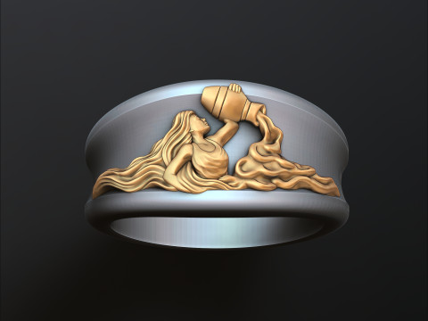 Zodiac Horoscope Aquarius Ring 3D print model 3Dプリントモデル