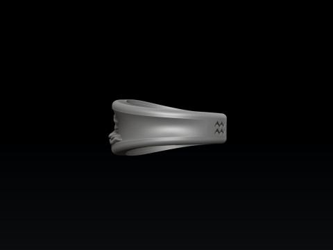 Zodiac Horoscope Aquarius Ring 3D print model 3Dプリントモデル