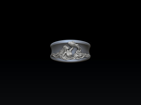 Zodiac Horoscope Aquarius Ring 3D print model 3Dプリントモデル