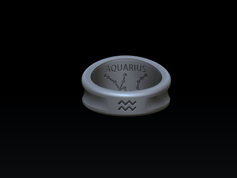 Zodiac Horoscope Aquarius Ring 3D print model 3Dプリントモデル