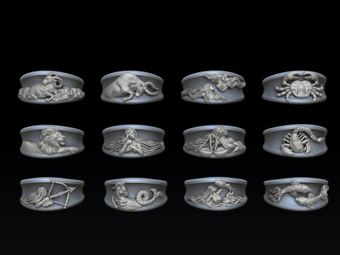 Zodiac Horoscope Rings Set Pack 3D print model 3D 프린트 모델