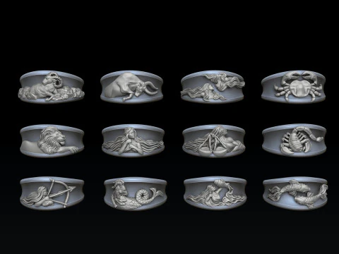 Zodiac Horoscope Rings Set Pack 3D print model 3D Print Model